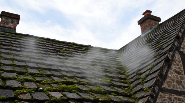 Optez pour le démoussage toiture en Alsace : solutions durables